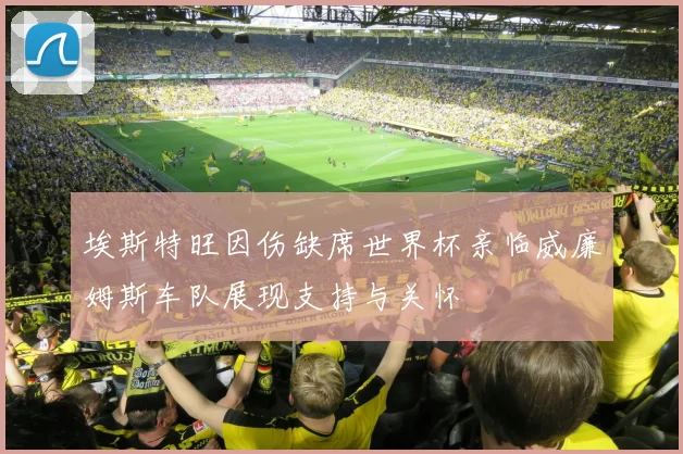 埃斯特旺因伤缺席世界杯亲临威廉姆斯车队展现支持与关怀